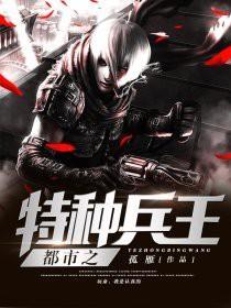 都市之特种兵王 风灵幻想